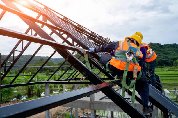 Best Local Roofing Companies  in Cactus, TX