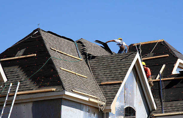 Best Local Roofing Companies  in Cactus, TX